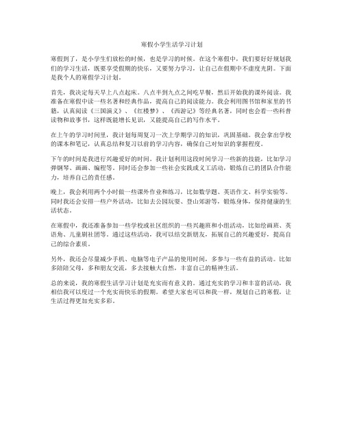 寒假小学生活学习计划