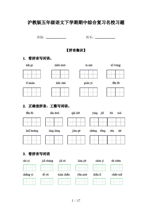 沪教版五年级语文下学期期中综合复习名校习题