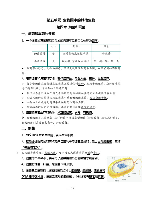 中考生物一轮复习核心考点必背知识清单10 细菌、真菌和病毒+生物的多样性及其保护