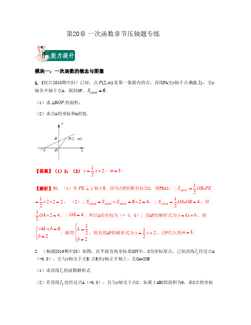 第20章一次函数章节压轴题专练(解析版)