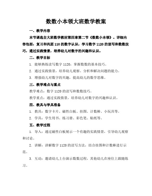 数数小本领大班数学教案