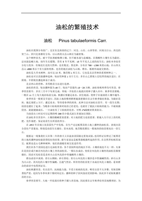 油松的繁殖技术