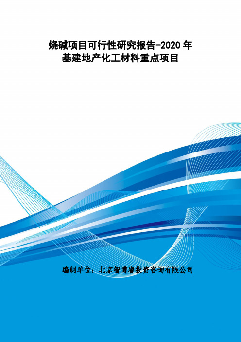 烧碱项目可行性研究报告-2020年基建地产化工材料重点项目