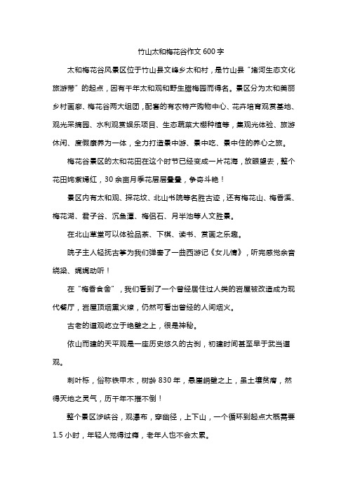 竹山太和梅花谷作文600字