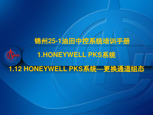 1.12 HONEYWELL PKS系统—更换通道组态