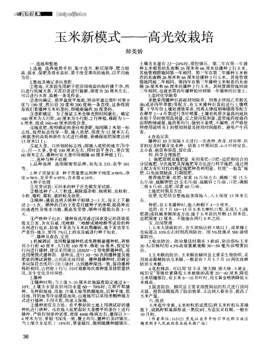 玉米新模式——高光效栽培