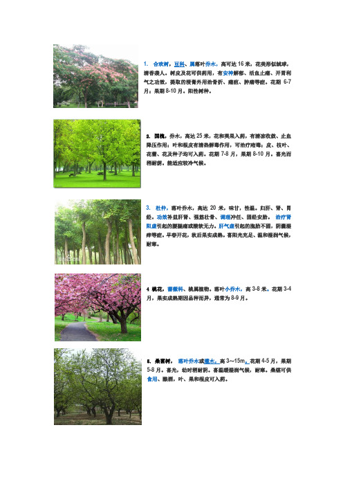 树种