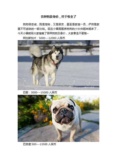 各种狗及身价，终于收全了