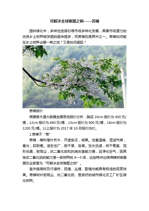 可解决全球难题之树——苦楝