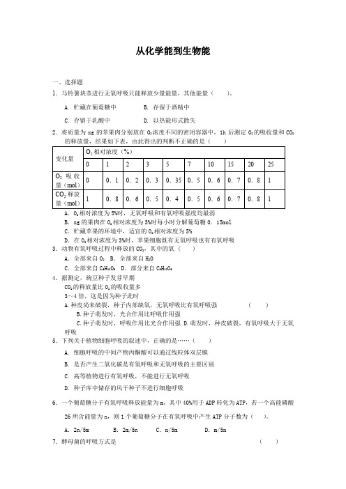 3.2.4从化学能到生物能每课一练13(中图版必修1)