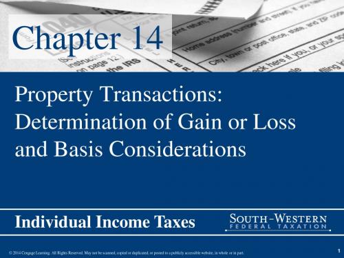 Individual Income Taxes (19)