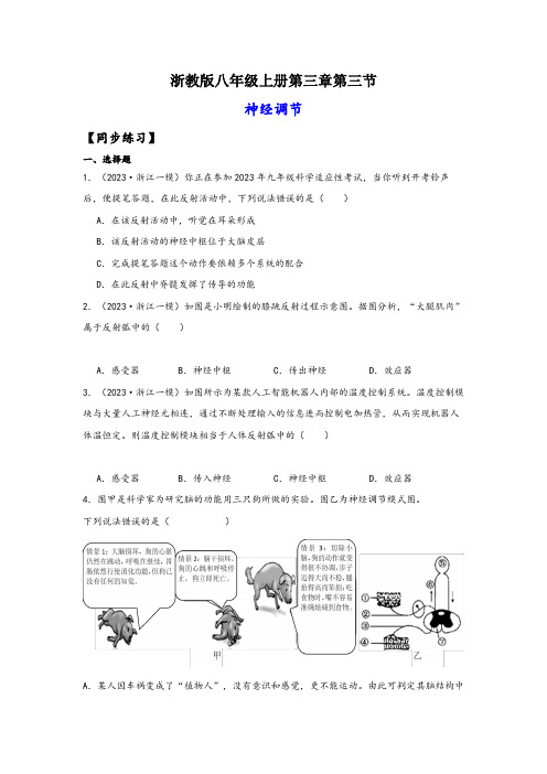 浙教版八年级科学上册讲练课堂3.3神经调节(练习)(原卷版+解析)