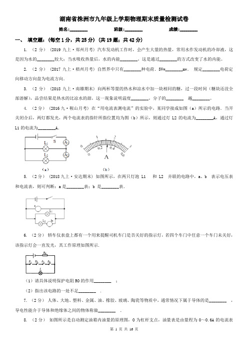 湖南省株洲市九年级上学期物理期末质量检测试卷