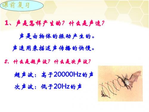 新人教版八年级物理上册课件：23声的利用(共22张PPT)