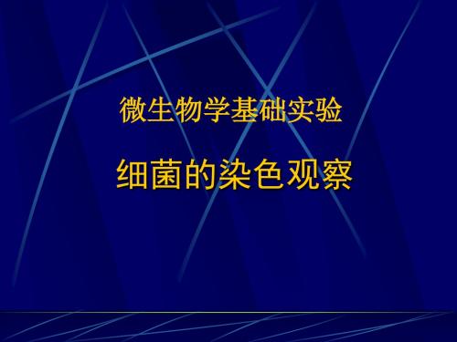 04-细菌的革兰氏染色观察