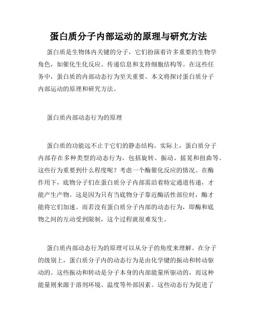 蛋白质分子内部运动的原理与研究方法