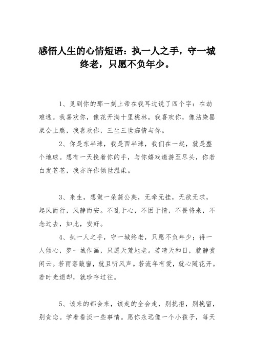 感悟人生的心情短语：执一人之手,守一城终老,只愿不负年少。