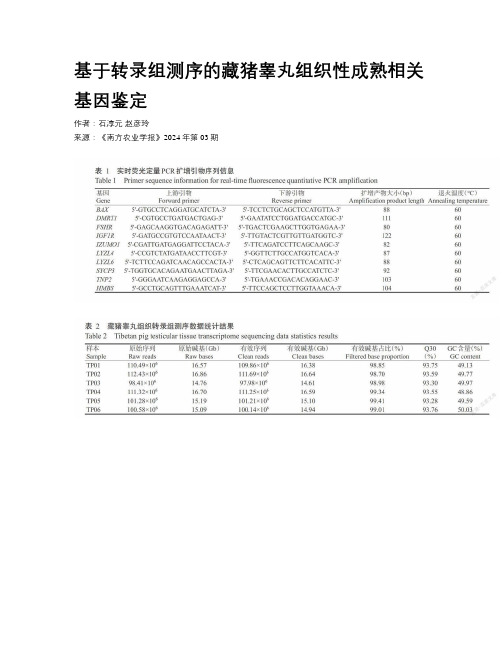 基于转录组测序的藏猪睾丸组织性成熟相关基因鉴定 