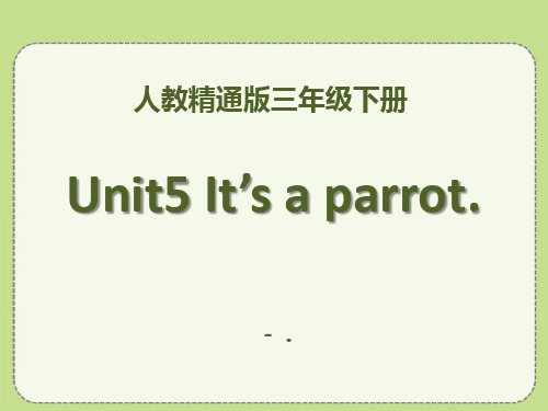 《It_s a parrot》PPT课件5