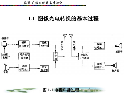 电视技术概论_01b图像中频通道