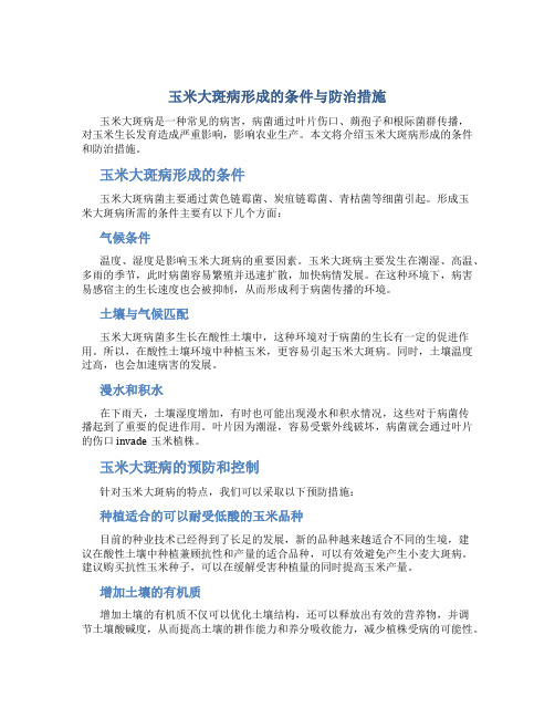 玉米大斑病形成的条件与防治措施