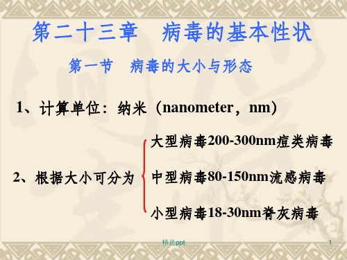 《病毒的基本性状》PPT课件