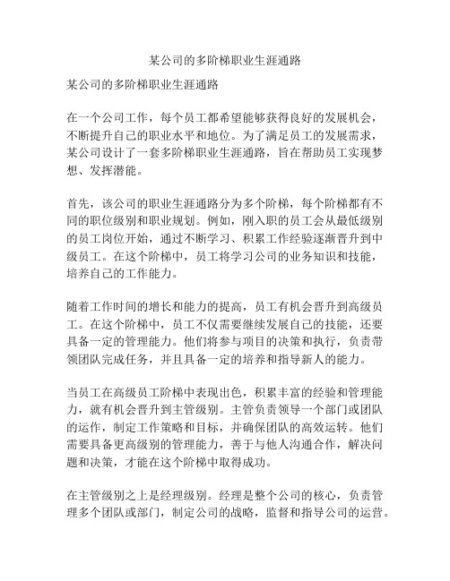 某公司的多阶梯职业生涯通路