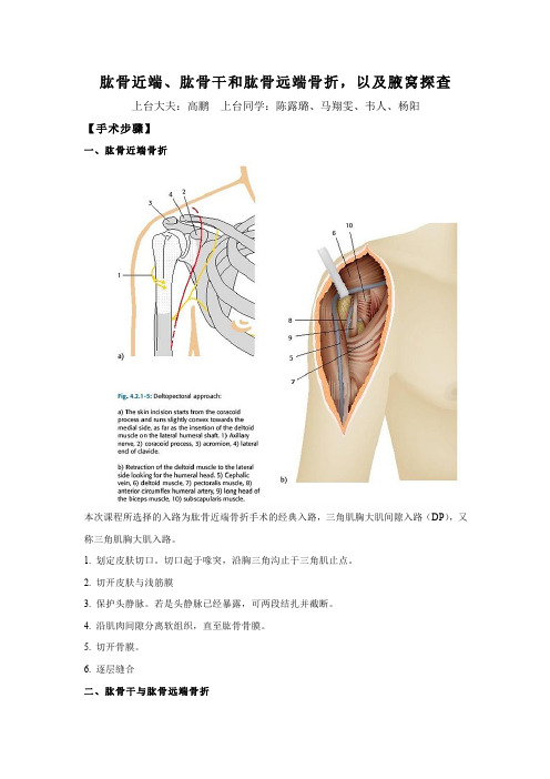 肱骨近端肱骨干和肱骨远端骨折以及腋窝探查