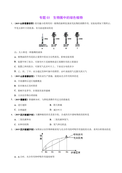 专题03 生物圈中的绿色植物(第02期)-2019年中考真题生物试题分项汇编(原卷版)