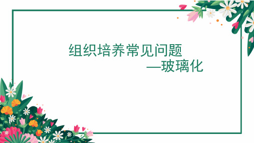 育苗室管理技术—组培过程中玻璃化引起的原因及防控方法