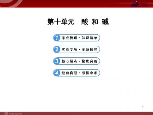 新人教版中考化学专题复习课件:第10单元 酸和碱