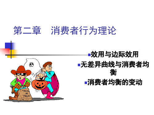 微观经济学 第二章 消费者行为理论