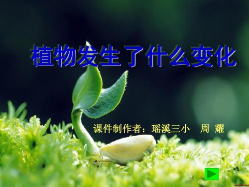 教科版小学科学三年级上册第一单元《植物发生了什么变化》PPT课件