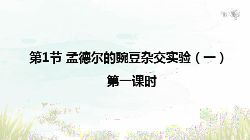 1.1 孟德尔的豌豆杂交实验(一) (教学课件)- 高一下学期生物人教版(2019)必修2