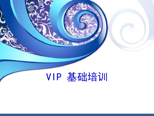 VIP 基础培训课件