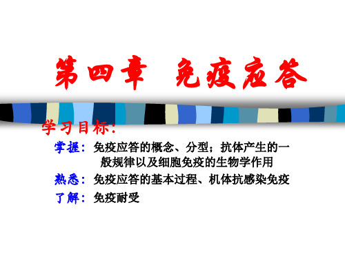 免疫应答 ppt课件
