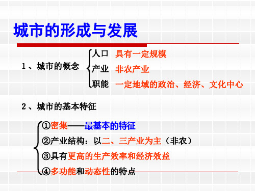 城市发展与城市化PPT课件(2)