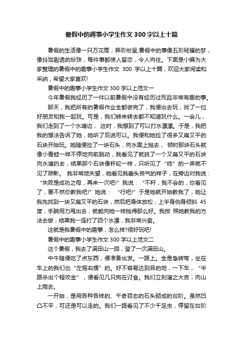 暑假中的趣事小学生作文300字以上十篇