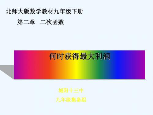 北师大版初中数学九年级下册《二次函数：何时获得最大利润》PPT课件