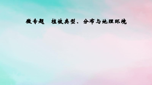 2025版新教材高中地理第5章微专题植被类型分布与地理环境课件新人教版选择性必修1