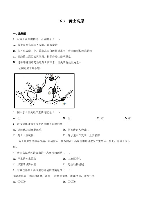 6.3黄土高原(原卷版+解析)