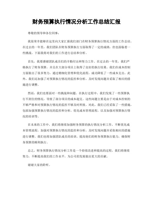 财务预算执行情况分析工作总结汇报