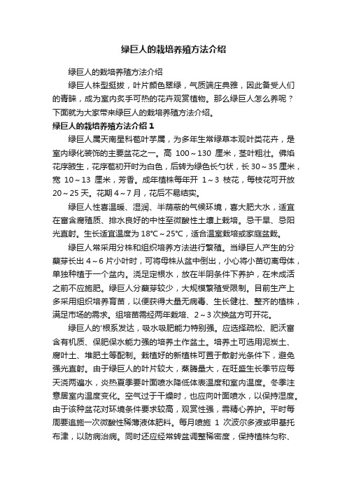 绿巨人的栽培养殖方法介绍