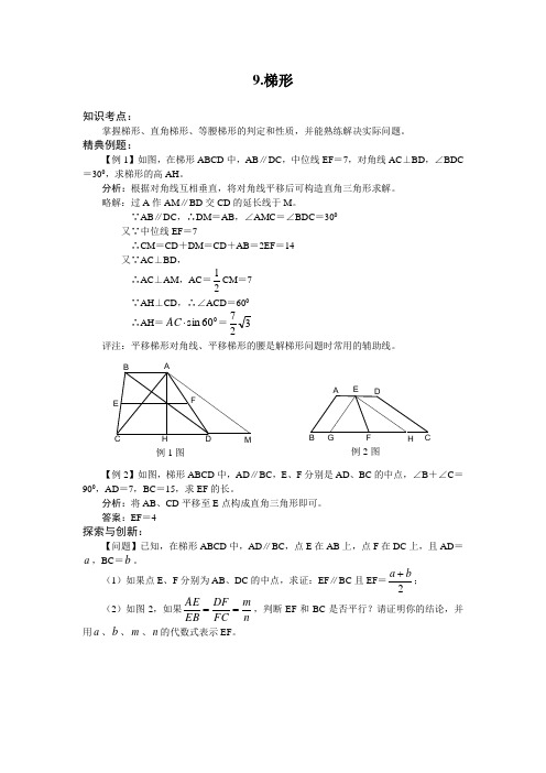 中考一轮复习专题31 梯形(含答案)