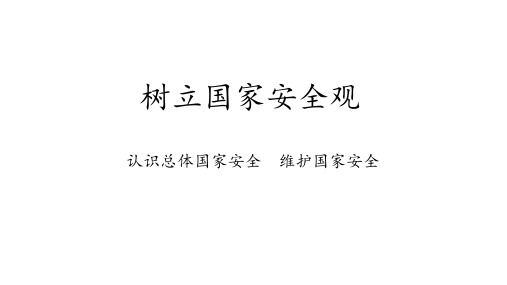 人教版道德与法治八年级上册第九课《树立总体国家安全观》课件