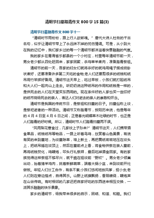 清明节扫墓踏青作文800字15篇（3）