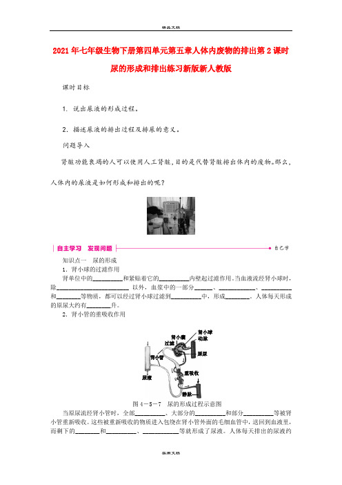 2021年七年级生物下册第四单元第五章人体内废物的排出第课时尿的形成和排出练习新版新人教版 