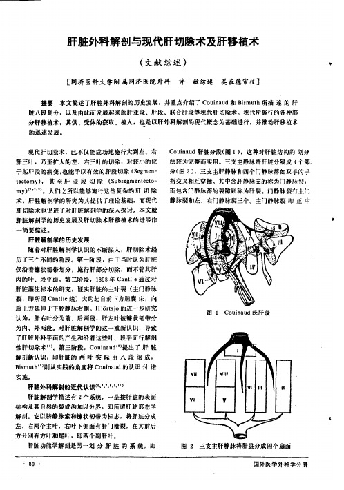 肝脏外科解剖与现代肝切除术及肝移植术(文献综述)