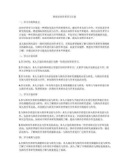 国内访问学者学习计划