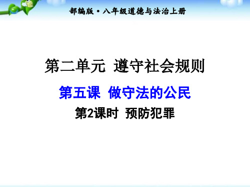 部编版八年级上册道德与法治第五课 第2课时 预防犯罪ppt课件